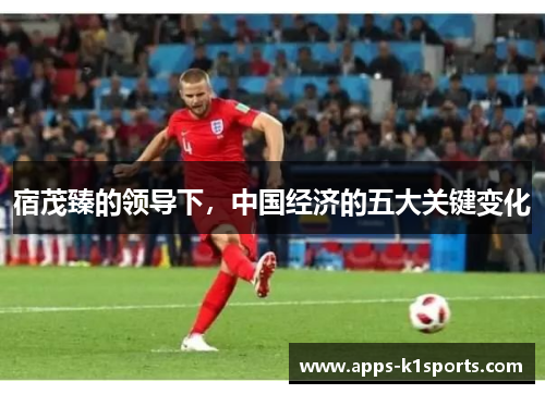 宿茂臻的领导下，中国经济的五大关键变化