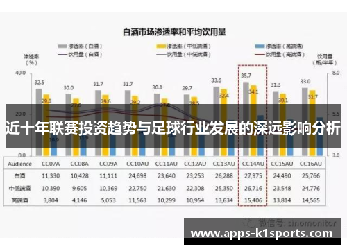 近十年联赛投资趋势与足球行业发展的深远影响分析