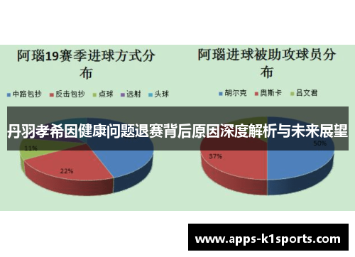 丹羽孝希因健康问题退赛背后原因深度解析与未来展望